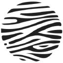 Spotted Zebra
