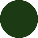 Seed